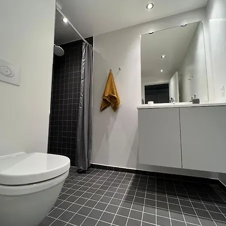 Daire 2 Bedroom Apt -prestigious In Kobenhavn•